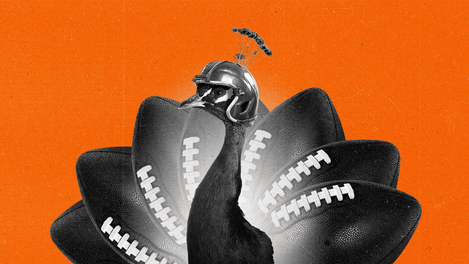 Turkey with footballs as it's tail feathers wears a football helmet in front of an orange background.