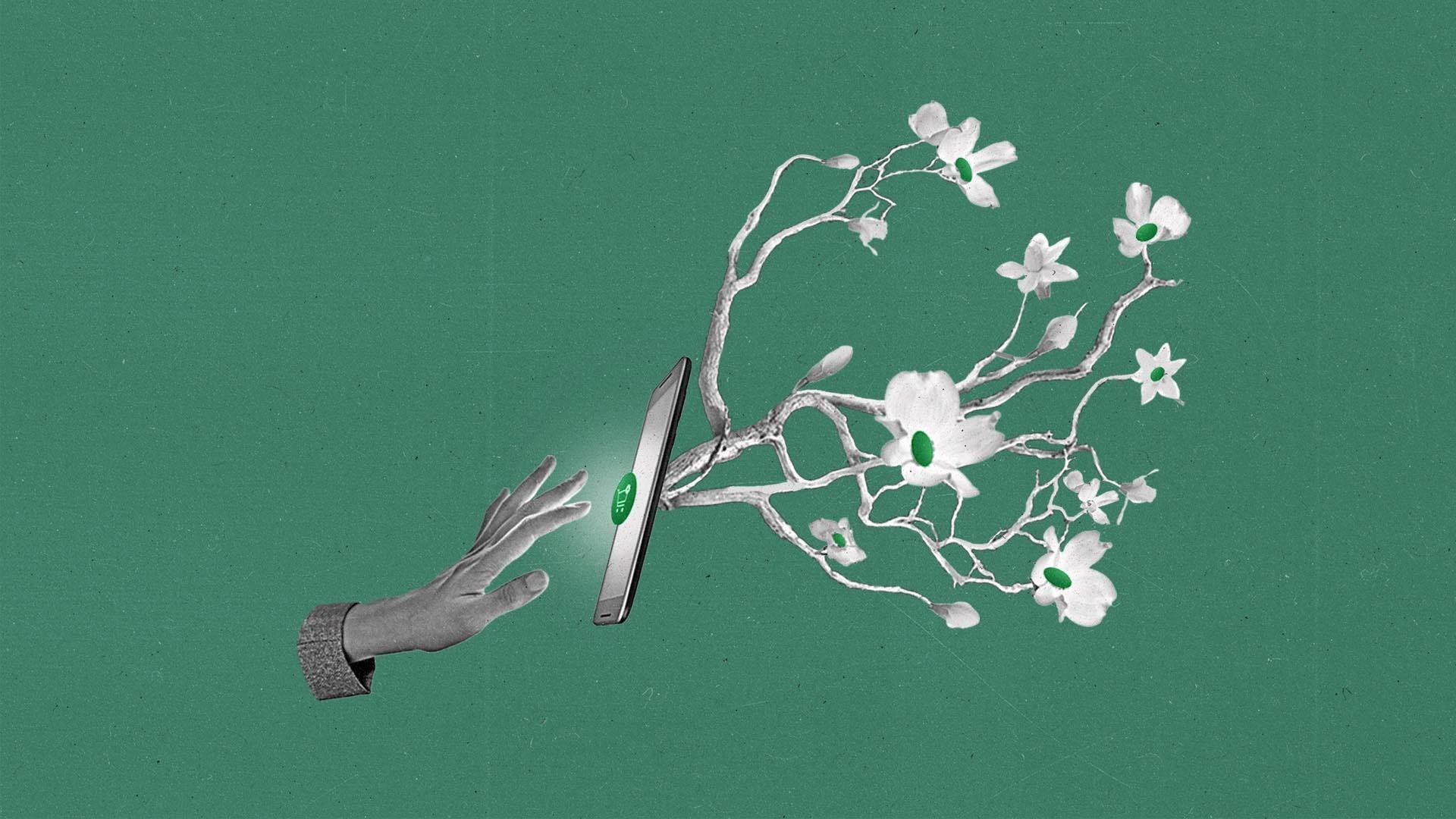 A hand touches a button with a shopping cart on a smartphone as a tree grows out the back.