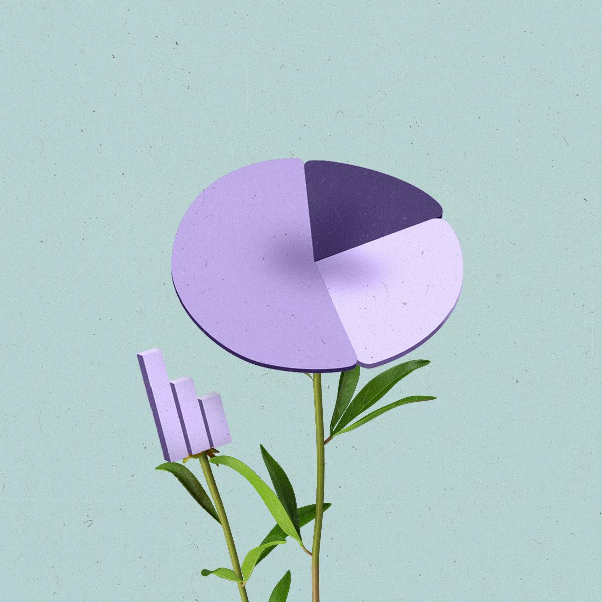 Pie and bar chart flowers blooming.