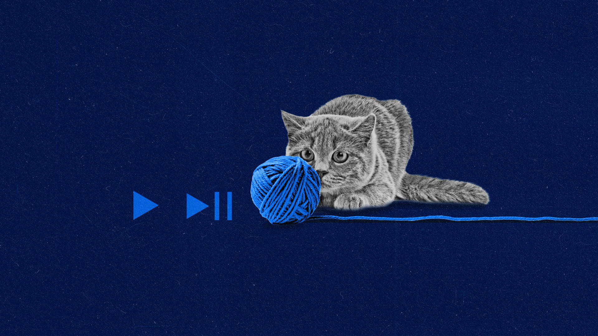 A cat playing with a ball of yarn made to look like the playbar on a screen.