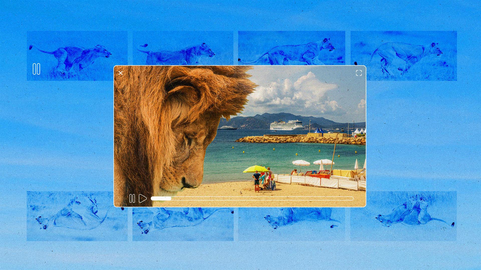 Collage of lions running, with a large lion inside streaming UI