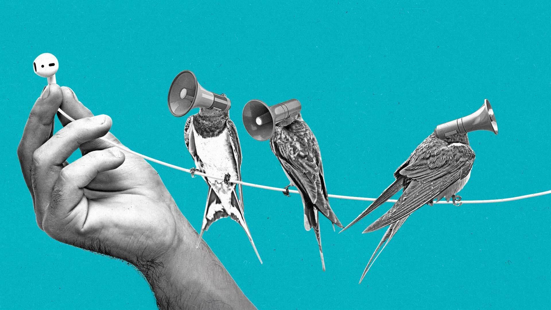 Three birds with megaphone heads perch on the wire of an earphone wire held by a hand.