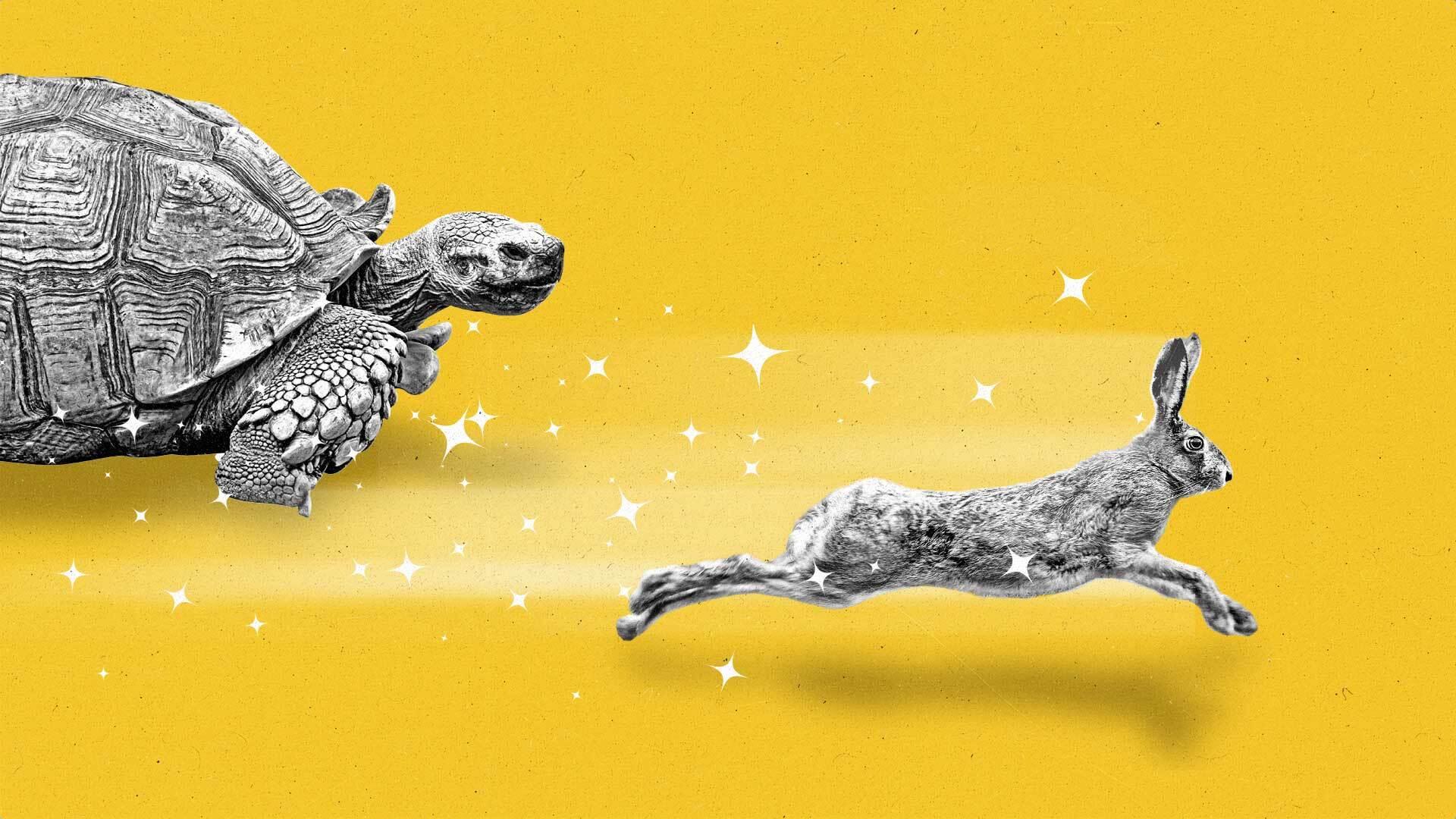 A hare runs past a tortoise, leaving a trail of sparkles in its wake.