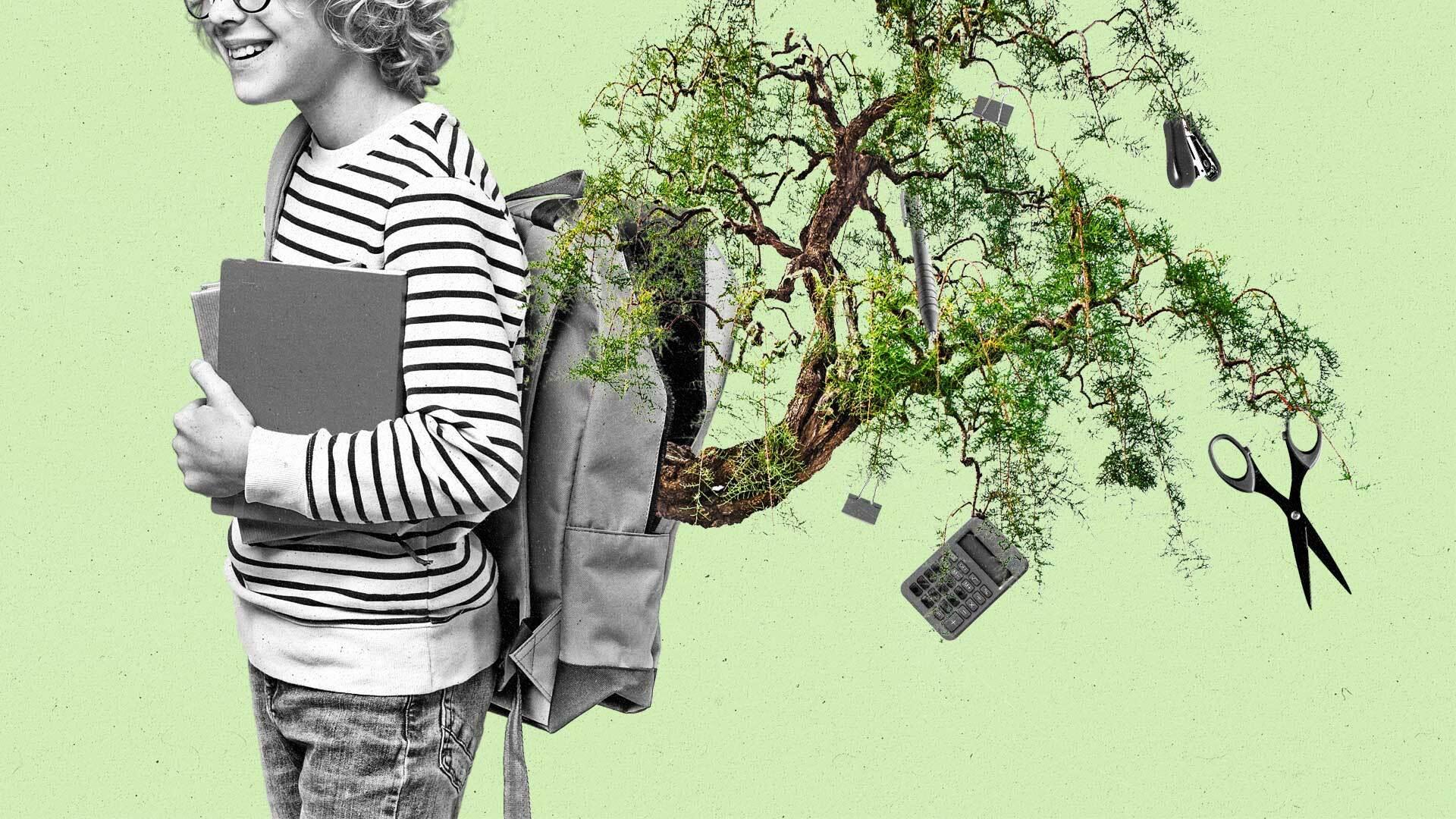 A tree with school supplies in its branches grows out of a boy's open backpack.