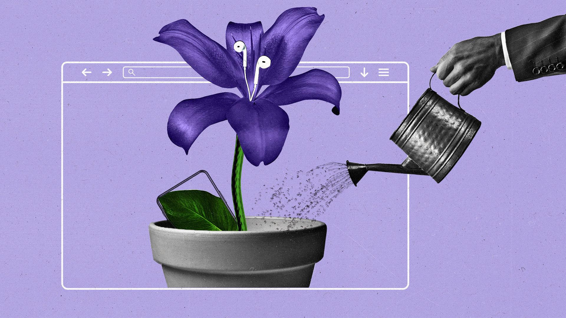 A purple lily in a planter being watered on an internet browser page.