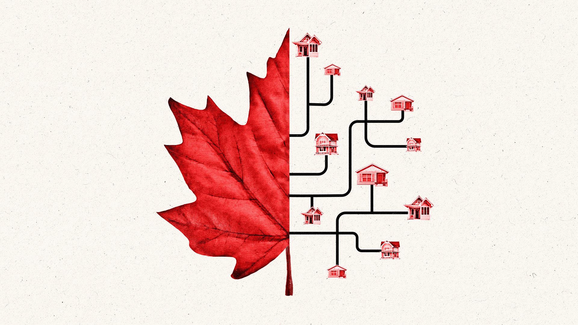 Left half of a red maple leaf joined with imagery of vein-like data lines leading to little houses representing the right half