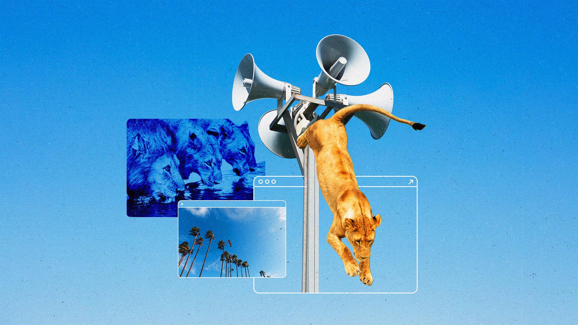 A collage of lions, browser windows, megaphones and beach imagery.