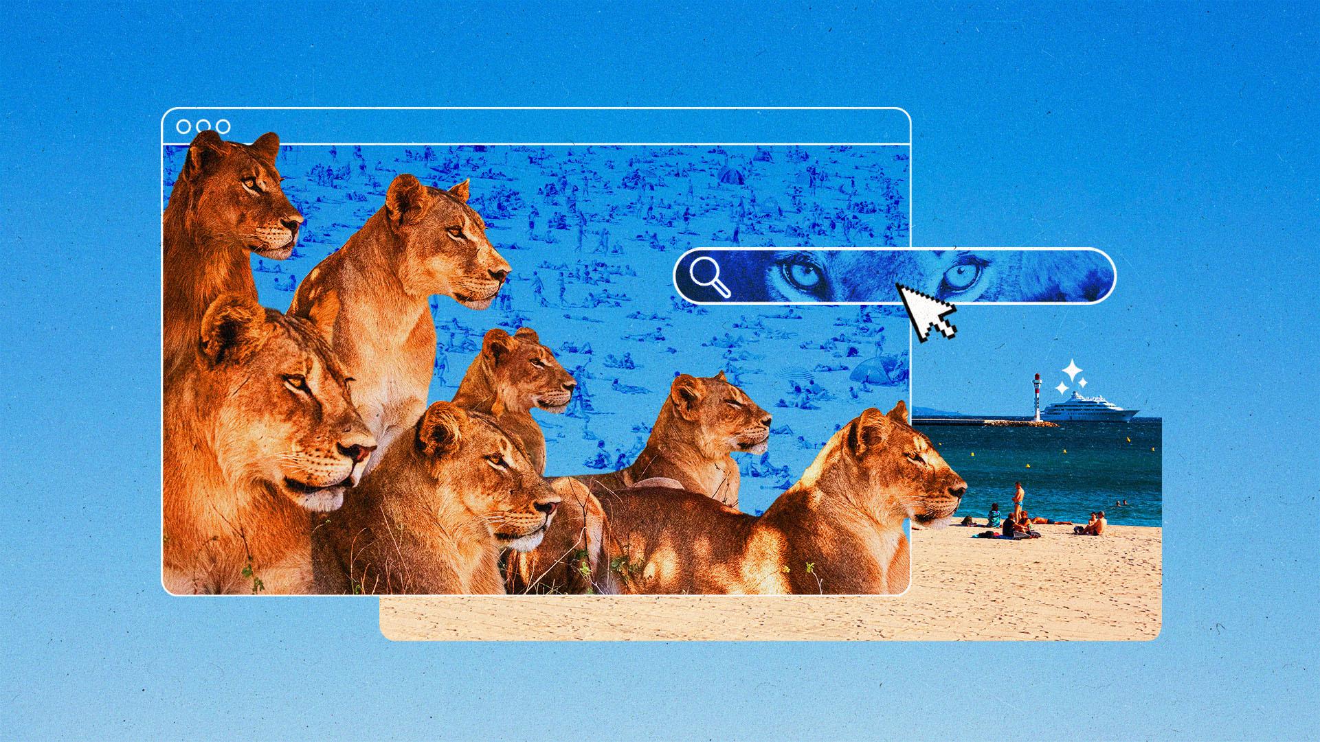 A group of lions looking into the distance, collaged with beach imagery, search and browser UI and a cursor.