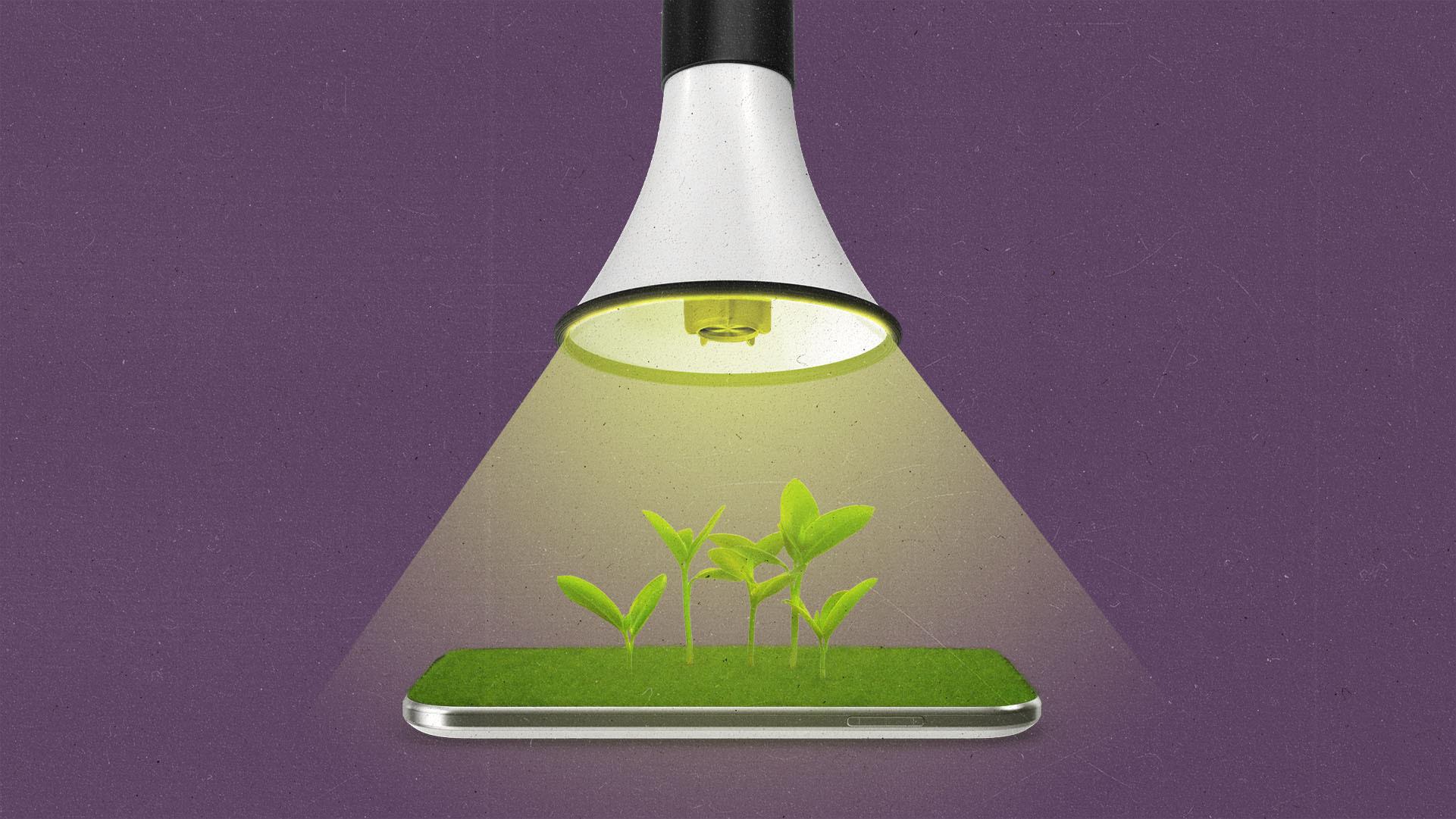 A megaphone shines light onto a smartphone with grass and seedlings growing out of the screen.