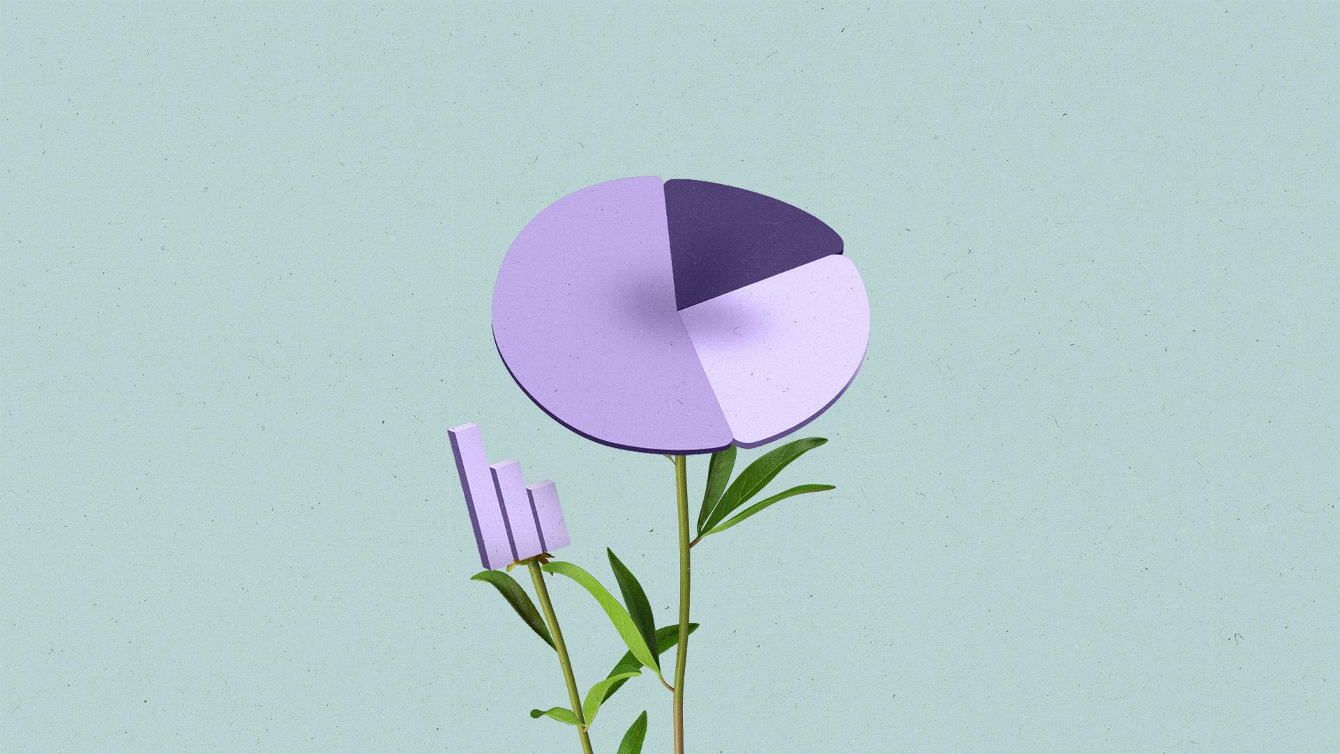 Pie and bar chart flowers blooming.