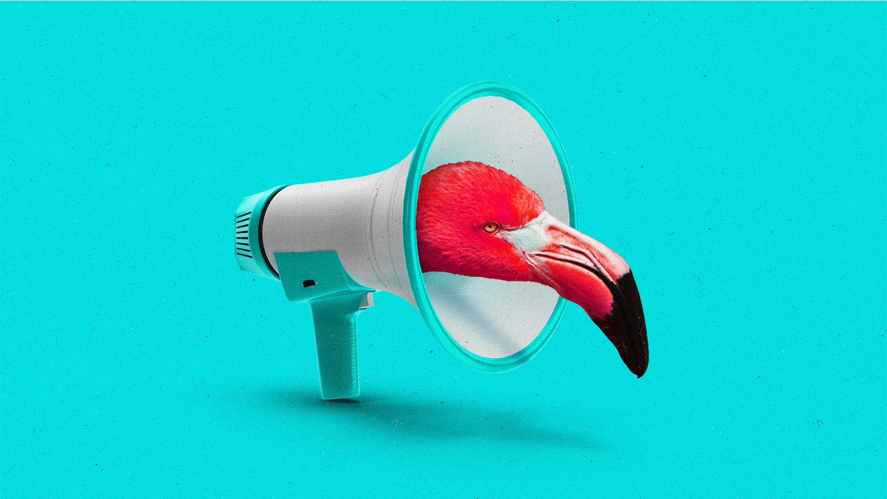A flamingo head emerging from the center of a turquoise megaphone.