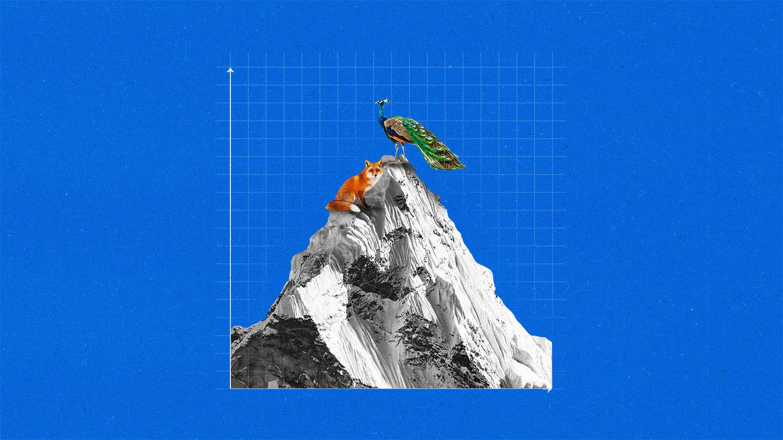 A fox and a peacock standing on top of a line-graph mountain
