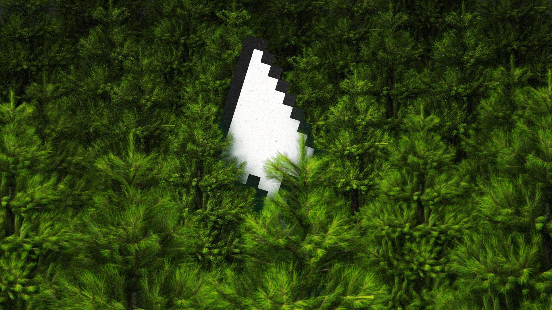 A pixellated cursor stands out against a forest of the tops of pine trees.